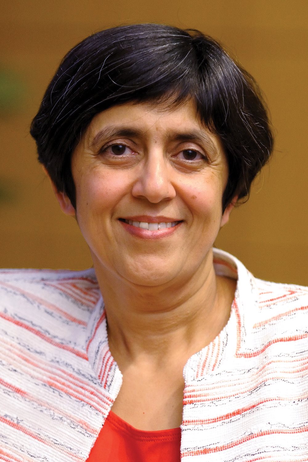 Sarita Adve